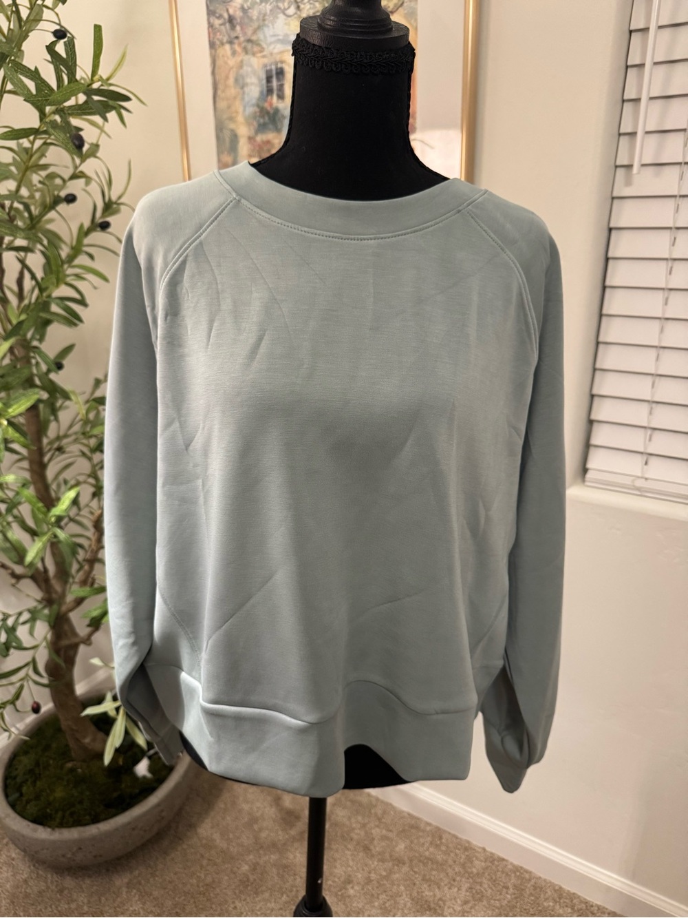 Light Sage Crew Neck Sweatshirt - Women